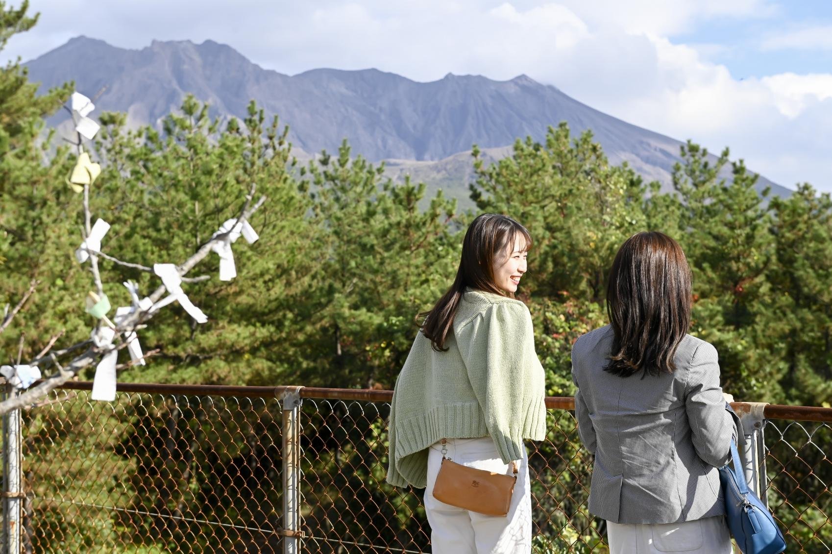 ⛩️ 츠키요미 신사(사쿠라지마) 이미지 3